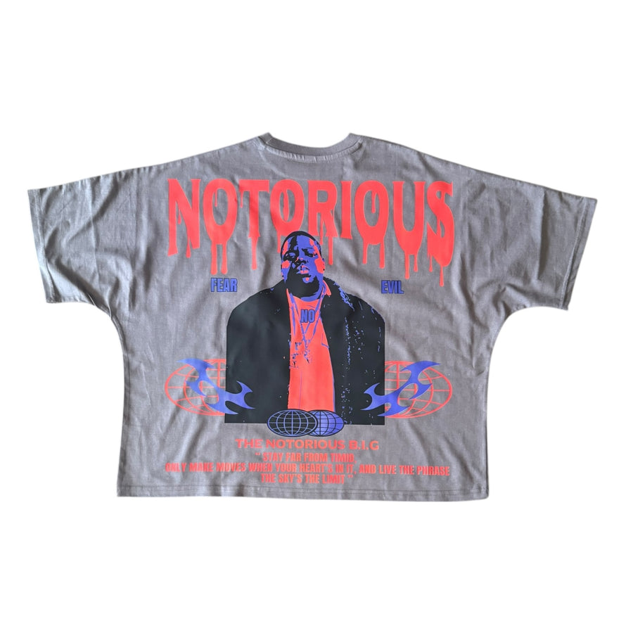 BB NOTORIOUS BIGGIE 2 PANEL TEE (GREY)